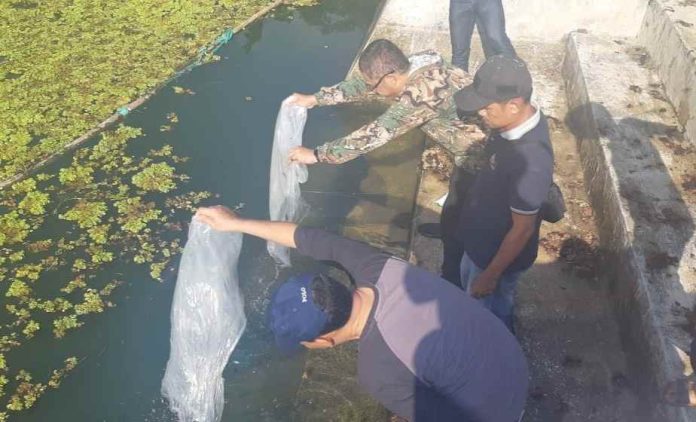 IMG_000000_000000-37-696x422