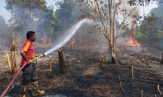 Screenshot_20240730-190252