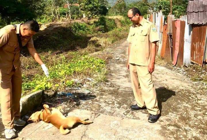 FB_IMG_1722860415119 Pemko Padang Panjang imbau warga untuk melakukan pemeriksaan hewan peliharaan mereka