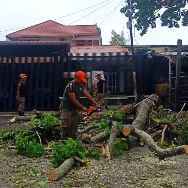 Pemotongan dan evakuasi pohon yang roboh