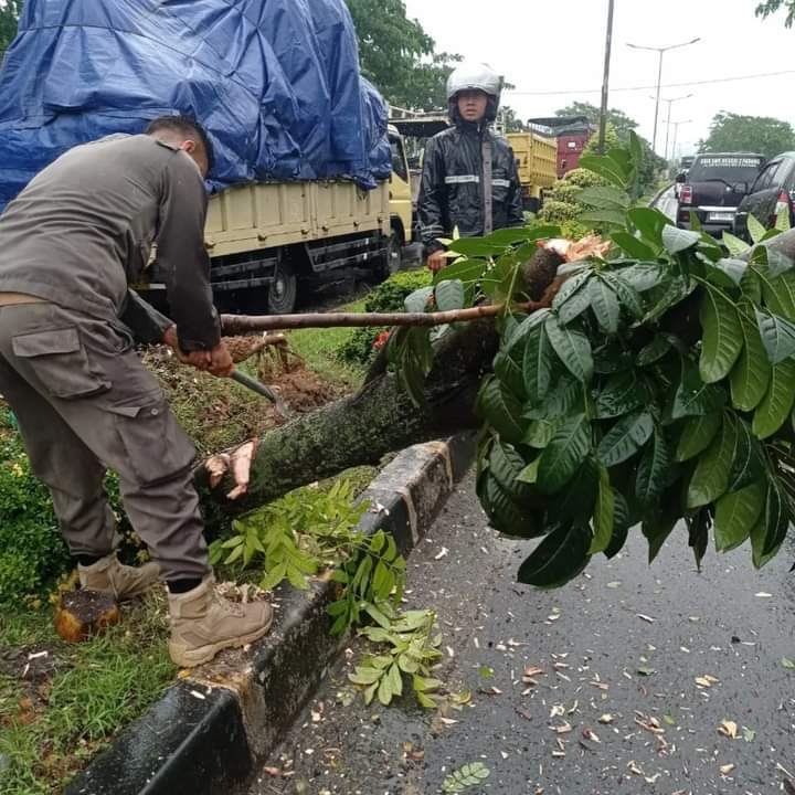 FB_IMG_1726564277177